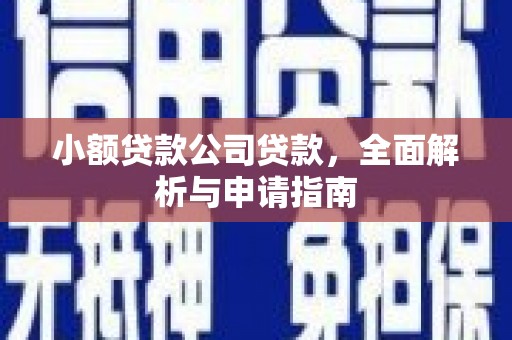 瑞穗小额贷款公司贷款，全面解析与申请指南