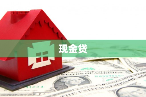 瑞穗现金贷