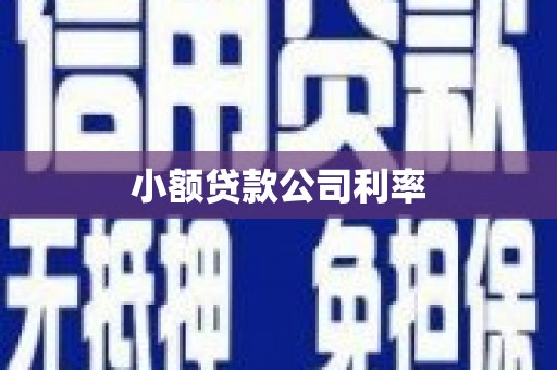 瑞穗小额贷款公司利率