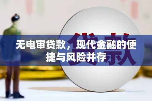 瑞穗无电审贷款，现代金融的便捷与风险并存