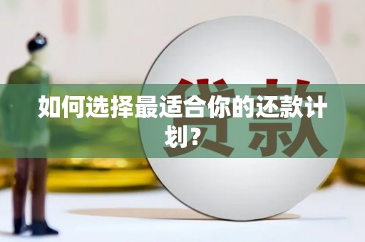 瑞穗如何选择最适合你的还款计划？