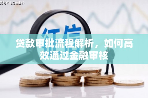 瑞穗贷款审批流程解析，如何高效通过金融审核