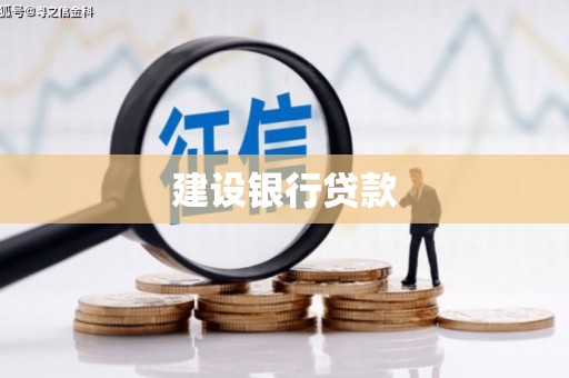 瑞穗建设银行贷款