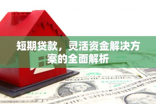 瑞穗短期贷款，灵活资金解决方案的全面解析