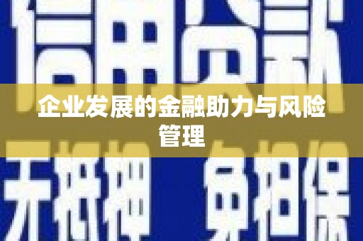 瑞穗企业发展的金融助力与风险管理