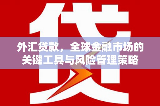 瑞穗外汇贷款，全球金融市场的关键工具与风险管理策略
