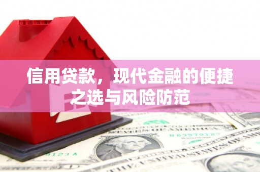 瑞穗信用贷款，现代金融的便捷之选与风险防范
