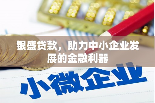 瑞穗银盛贷款，助力中小企业发展的金融利器