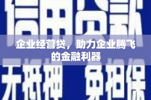 瑞穗企业经营贷，助力企业腾飞的金融利器