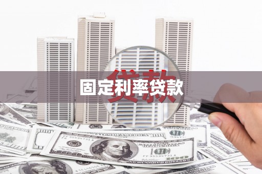 瑞穗固定利率贷款