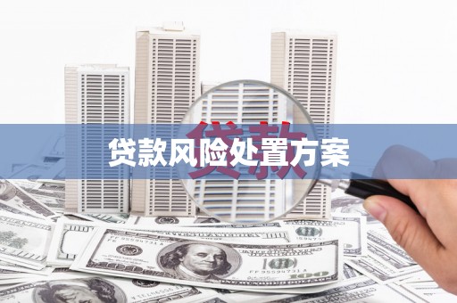 瑞穗贷款风险处置方案