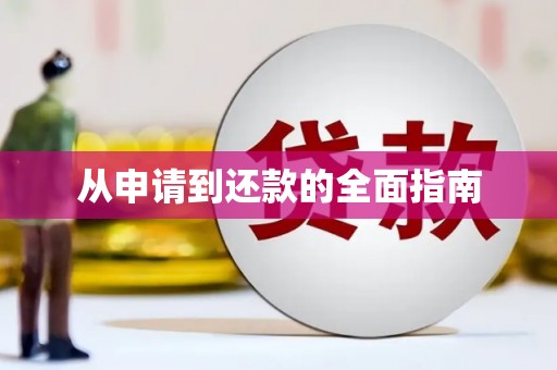 瑞穗从申请到还款的全面指南