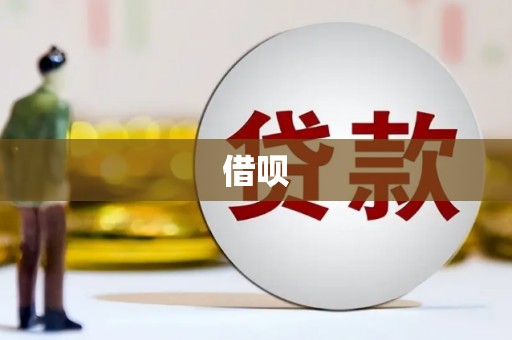瑞穗借呗