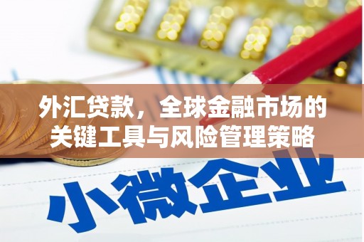 瑞穗外汇贷款，全球金融市场的关键工具与风险管理策略