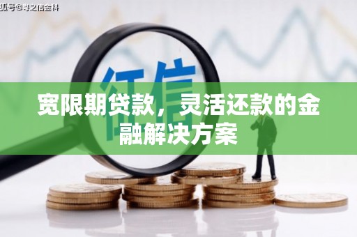 瑞穗宽限期贷款，灵活还款的金融解决方案