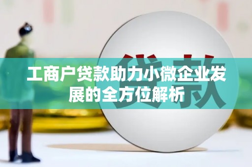 瑞穗工商户贷款助力小微企业发展的全方位解析