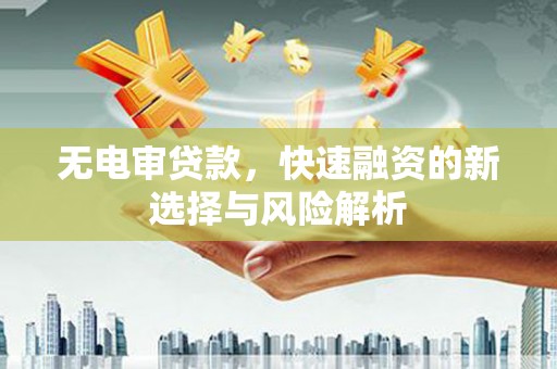 瑞穗无电审贷款，快速融资的新选择与风险解析
