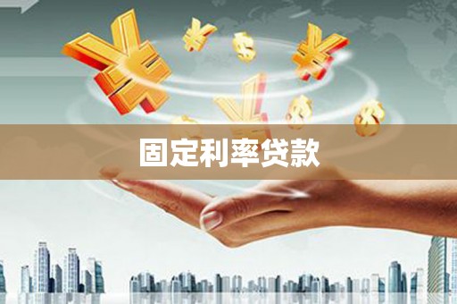 瑞穗固定利率贷款