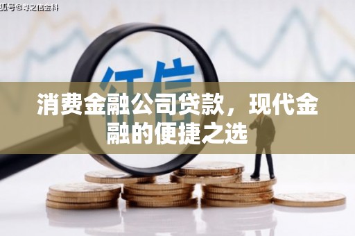 瑞穗消费金融公司贷款，现代金融的便捷之选