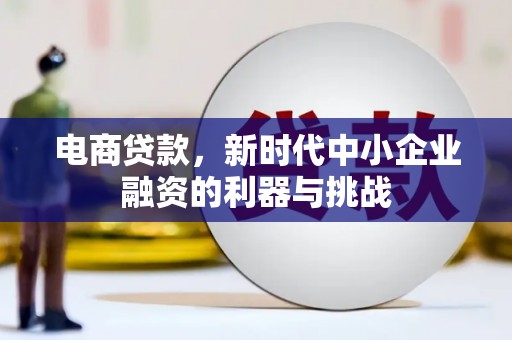瑞穗电商贷款，新时代中小企业融资的利器与挑战