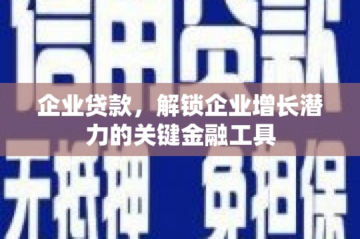 瑞穗企业贷款，解锁企业增长潜力的关键金融工具