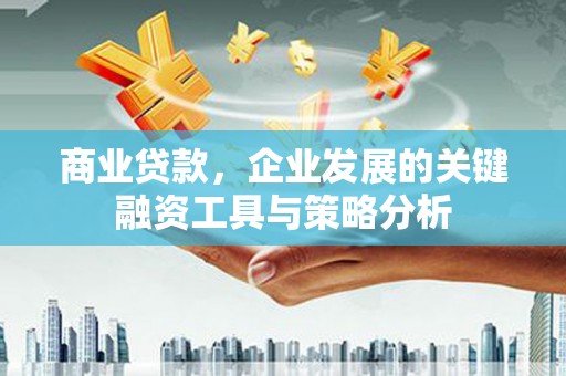 瑞穗商业贷款，企业发展的关键融资工具与策略分析