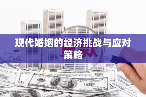 瑞穗现代婚姻的经济挑战与应对策略