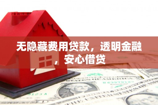 瑞穗无隐藏费用贷款，透明金融，安心借贷