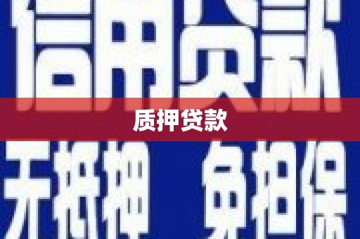 瑞穗质押贷款