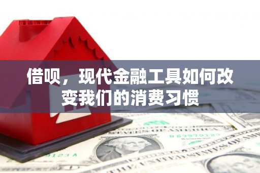 瑞穗借呗，现代金融工具如何改变我们的消费习惯