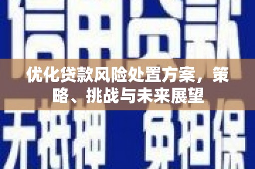 瑞穗优化贷款风险处置方案，策略、挑战与未来展望