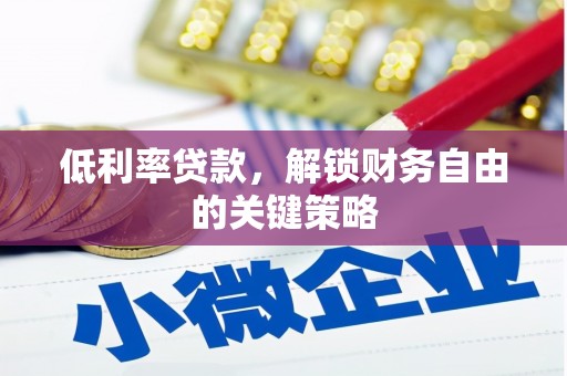 瑞穗低利率贷款，解锁财务自由的关键策略