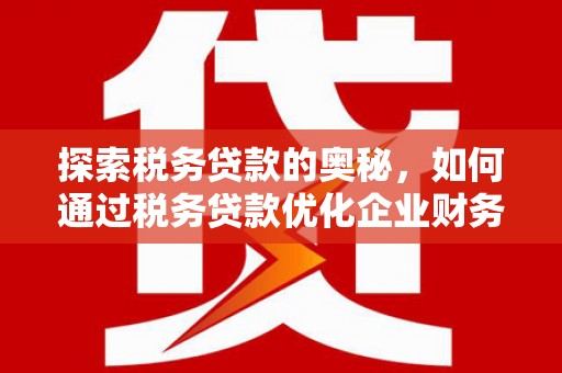 瑞穗探索税务贷款的奥秘，如何通过税务贷款优化企业财务