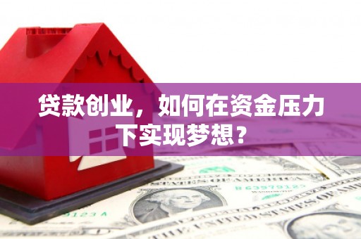 瑞穗贷款创业，如何在资金压力下实现梦想？