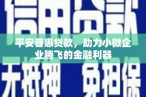 瑞穗平安普惠贷款，助力小微企业腾飞的金融利器