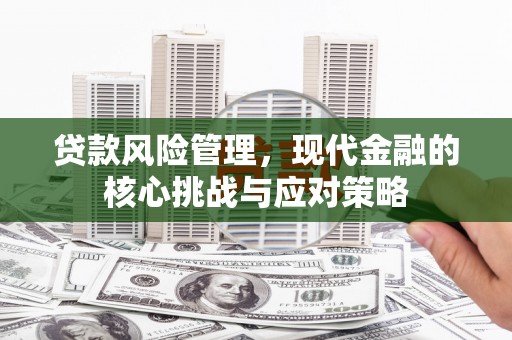 瑞穗贷款风险管理，现代金融的核心挑战与应对策略