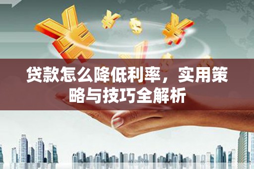 瑞穗贷款怎么降低利率，实用策略与技巧全解析