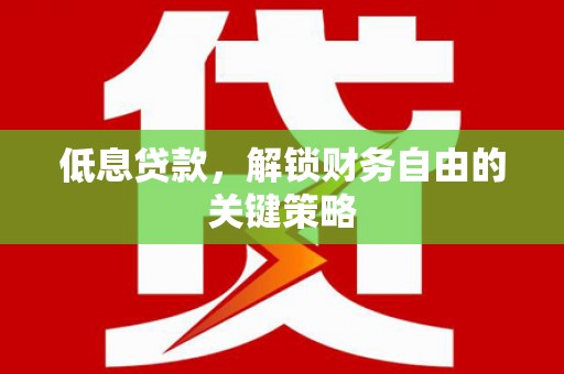 瑞穗低息贷款，解锁财务自由的关键策略