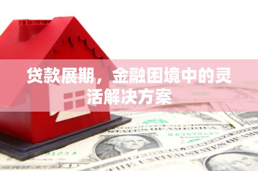 瑞穗贷款展期，金融困境中的灵活解决方案