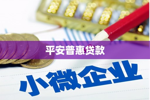 瑞穗平安普惠贷款