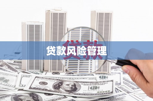 瑞穗贷款风险管理