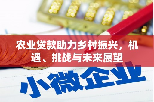 瑞穗农业贷款助力乡村振兴，机遇、挑战与未来展望