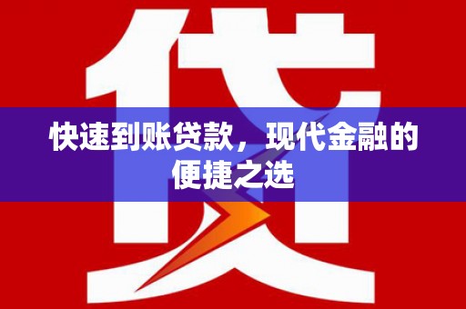 瑞穗快速到账贷款，现代金融的便捷之选