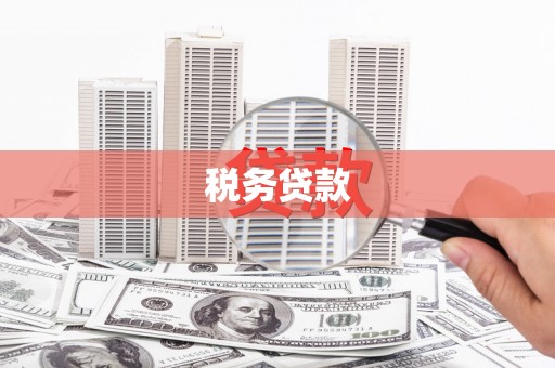 瑞穗税务贷款
