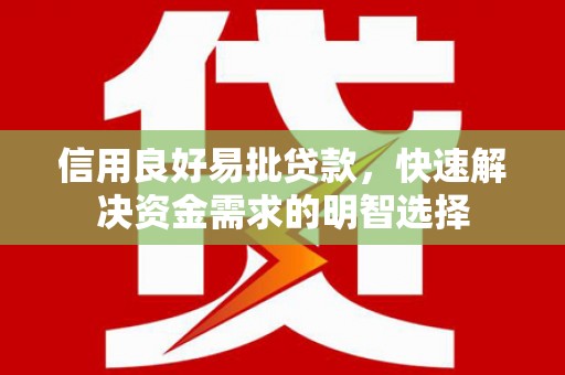 瑞穗信用良好易批贷款，快速解决资金需求的明智选择