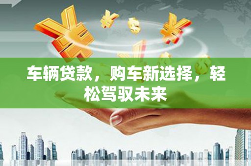 瑞穗车辆贷款，购车新选择，轻松驾驭未来