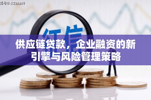 瑞穗供应链贷款，企业融资的新引擎与风险管理策略