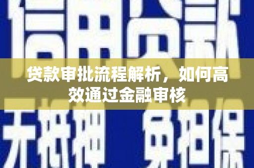瑞穗贷款审批流程解析，如何高效通过金融审核