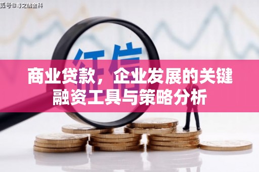 瑞穗商业贷款，企业发展的关键融资工具与策略分析