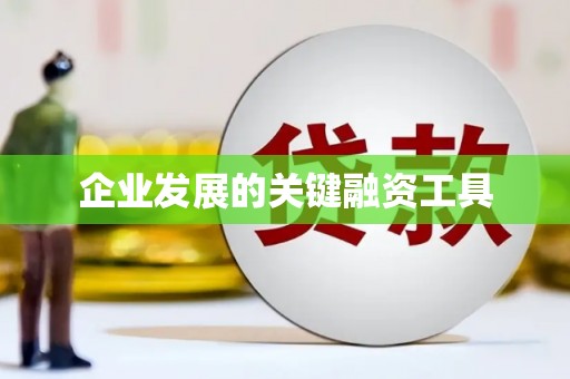 瑞穗企业发展的关键融资工具